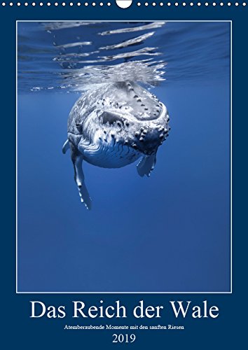 Im Reich der Wale (Wandkalender 2019 DIN A3 hoch): Atemberaubende Momente mit den sanften Riesen (Monatskalender, 14 Seiten ) (CALVENDO Tiere) Contemporary literature