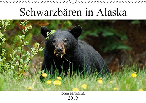 Schwarzbären in Alaska (Wandkalender 2019 DIN A3 quer): Wunderschöne, spektakuläre und emotionale Tieraufnahmen die beweisen, das Alaska auch ein ... (Monatskalender, 14 Seiten ) (CALVENDO Tiere) Leisure, Home & Garden