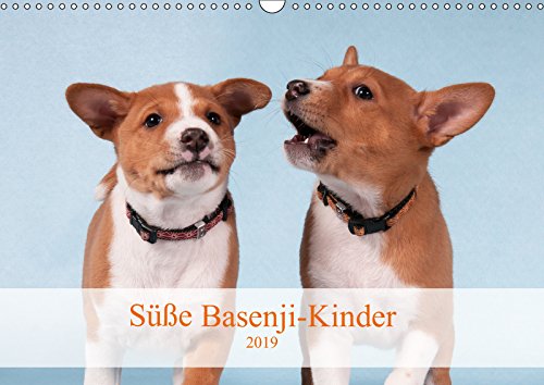 Süße Basenji-Kinder (Wandkalender 2019 DIN A3 quer): Entzückende Basenji-Welpen, Monat für Monat (Monatskalender, 14 Seiten ) (CALVENDO Tiere) Film, Art & Culture