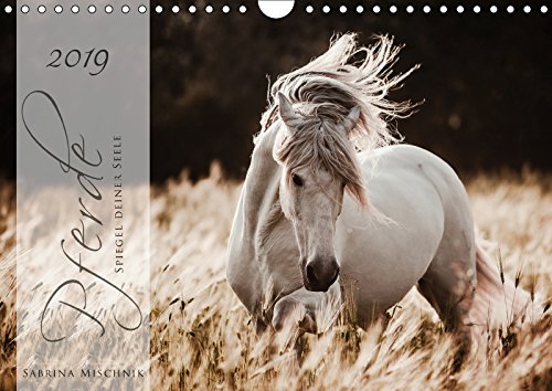 Pferde - Spiegel deiner Seele (Wandkalender 2019 DIN A4 quer): Lassen Sie sich entführen in die Faszinierende Welt der Pferde (Geburtstagskalender, 14 Seiten ) (CALVENDO Tiere) Film, Art & Culture