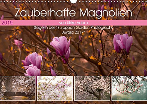 Zauberhafte Magnolien (Wandkalender 2019 DIN A3 quer): Magnolien - Faszination Frühling das ganze Jahr hindurch (Monatskalender, 14 Seiten ) (CALVENDO Natur) Leisure, Home & Garden