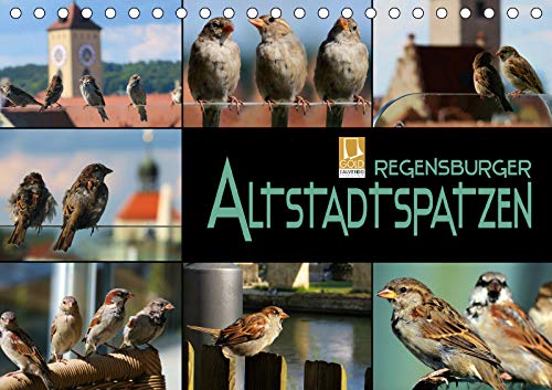 Regensburger Altstadtspatzen (Tischkalender 2019 DIN A5 quer): Spatzen abgelichtet in einer historischen Stadt (Monatskalender, 14 Seiten ) (CALVENDO Tiere) Lifestyle