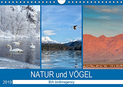 Landschaften und Vögel (Wandkalender 2019 DIN A4 quer): 10.600 Vogelarten leben auf allen Kontinenten in den verschiedensten Lebensräumen. (Monatskalender, 14 Seiten ) (CALVENDO Tiere) Leisure, Home & Garden