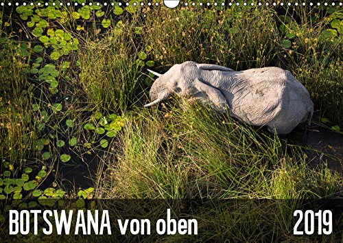 Botswana von oben (Wandkalender 2019 DIN A3 quer): Safari aus der Vogelperspektive (Monatskalender, 14 Seiten ) (CALVENDO Natur) Leisure, Home & Garden