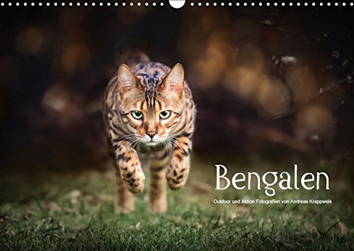 Bengalen Outdoor und Action (Wandkalender 2019 DIN A3 quer): Bengalen, die kleinen Leoparden in freier Natur (Monatskalender, 14 Seiten ) (CALVENDO Tiere) Film, Art & Culture