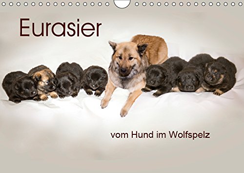 Eurasier, der Hund im Wolfspelz (Wandkalender 2019 DIN A4 quer): Bilder aus dem Zwinger vom Hund im Wolfspelz. (Monatskalender, 14 Seiten ) (CALVENDO Tiere) Philosophy