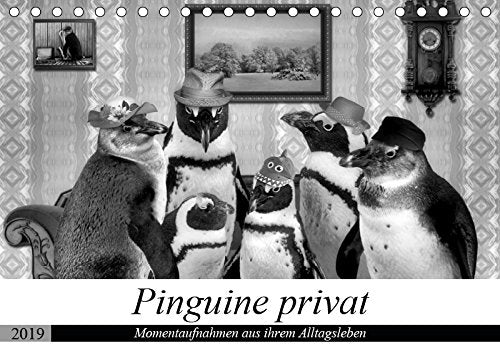 Pinguine privat (Tischkalender 2019 DIN A5 quer): Momentaufnahmen aus ihrem Alltag (Monatskalender, 14 Seiten ) (CALVENDO Spass) Photography