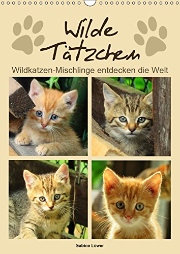 Wilde Tätzchen (Wandkalender 2019 DIN A3 hoch): Wildkatzen-Mischlinge entdecken die Welt (Monatskalender, 14 Seiten ) (CALVENDO Tiere) Contemporary literature