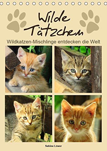Wilde Tätzchen (Tischkalender 2019 DIN A5 hoch): Wildkatzen-Mischlinge entdecken die Welt (Monatskalender, 14 Seiten ) book