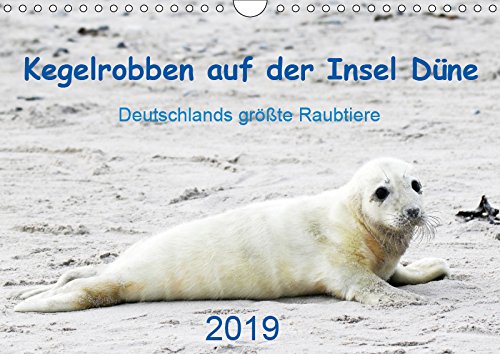 Kegelrobben auf der Insel Düne (Wandkalender 2019 DIN A4 quer): Helgoländer Kegelrobben in Text und Bild (Monatskalender, 14 Seiten ) (CALVENDO Tiere) Film, Art & Culture