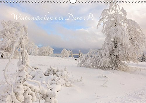 Wintermärchen von Dora Pi (Wandkalender 2019 DIN A3 quer): Winterzauber. Die Suche nach dem wunderbaren Licht. (Monatskalender, 14 Seiten ) (CALVENDO Natur) Photography