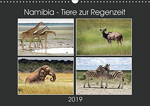 Namibia - Tiere zur Regenzeit 2019 (Wandkalender 2019 DIN A3 quer): Namibias Tierwelt wenn es grünt und wächst in hochauflösenden Bildern. Wildlife pur! (Monatskalender, 14 Seiten ) (CALVENDO Tiere) Leisure, Home & Garden