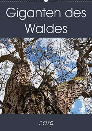 Giganten des Waldes (Wandkalender 2019 DIN A2 hoch): Gigantische Baumriesen könnten Geschichten von über tausend Jahren erzählen (Monatskalender, 14 Seiten ) (CALVENDO Natur) Leisure, Home & Garden
