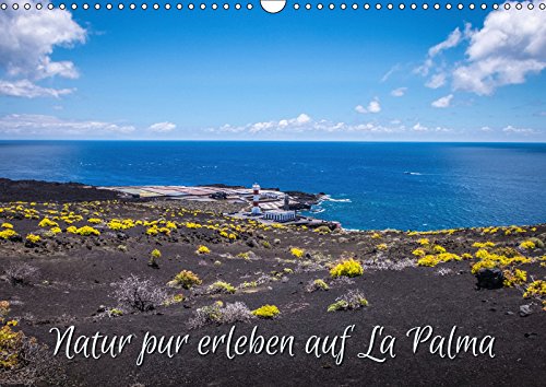 Natur pur erleben auf La Palma (Wandkalender 2019 DIN A3 quer): Impressionen von "La Isla Bonita" (Monatskalender, 14 Seiten ) (CALVENDO Orte) Leisure, Home & Garden