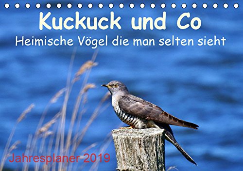 Kuckuck und Co - Heimische Vögel die man selten sieht - Jahresplaner 2019 (Tischkalender 2019 DIN A5 quer): Heimliche Vögel ganz nah! (Geburtstagskalender, 14 Seiten ) (CALVENDO Tiere) Contemporary literature Books