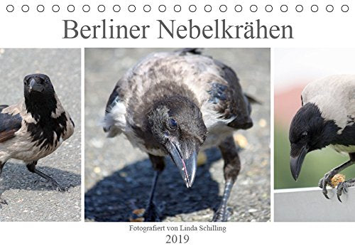 Berliner Nebelkrähen (Tischkalender 2019 DIN A5 quer): Krähen - neugierig, verspielt und intelligent (Monatskalender, 14 Seiten ) (CALVENDO Tiere) Business & Technology