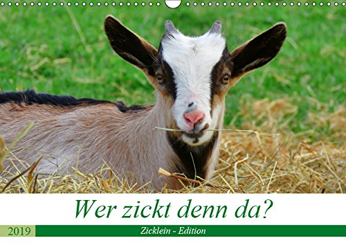 Wer zickt denn da? (Wandkalender 2019 DIN A3 quer): Die niedlichen Zicklein sind los ... (Monatskalender, 14 Seiten ) (CALVENDO Tiere) Contemporary literature