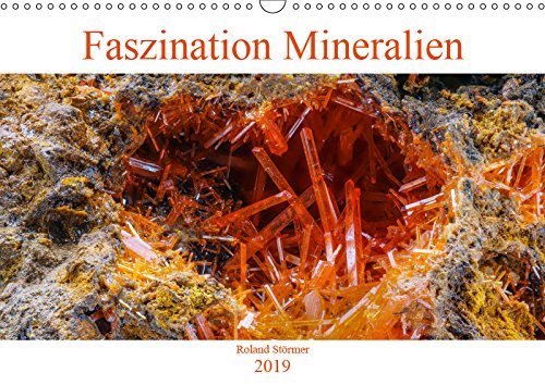 Faszination Mineralien (Wandkalender 2019 DIN A3 quer): Makroaufnahmen von Mineralien (Monatskalender, 14 Seiten ) (CALVENDO Natur) Film, Art & Culture