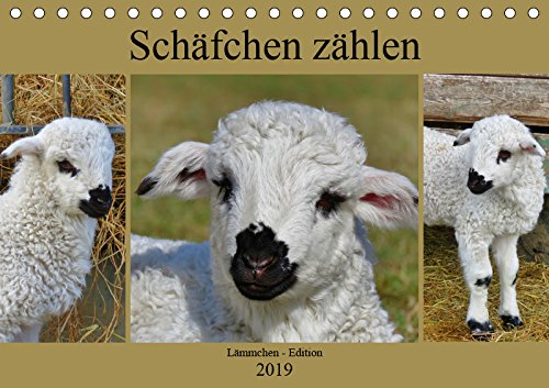 Schäfchen zählen - Lämmchen-Edition (Tischkalender 2019 DIN A5 quer): Süße Wollknäuel auf Wiesen und Weiden. (Monatskalender, 14 Seiten ) (CALVENDO Tiere) Contemporary literature