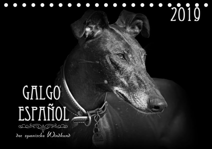 Galgo Español - der spanische Windhund 2019 (Tischkalender 2019 DIN A5 quer): Ausdrucksstarke schwarz-weiß Portraits vom Galgo Español (Monatskalender, 14 Seiten ) (CALVENDO Tiere) Film, Art & Culture