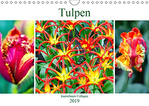 Tulpen - kunterbunte Collagen (Wandkalender 2019 DIN A4 quer): Kunterbunte Schönheiten - Tulpencollagen. (Monatskalender, 14 Seiten ) (CALVENDO Natur) Leisure, Home & Garden