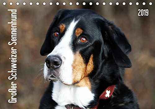 Großer Schweizer Sennenhund (Tischkalender 2019 DIN A5 quer): Sennenhund Rasse (Monatskalender, 14 Seiten ) (CALVENDO Tiere) Contemporary literature