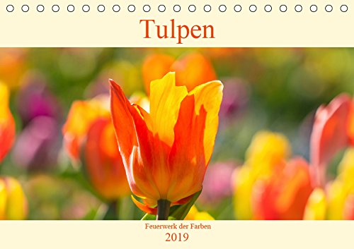Tulpen - Feuerwerk der Farben (Tischkalender 2019 DIN A5 quer): Tulpen faszinieren durch ihre große Formen- und Farbenvielfalt. (Monatskalender, 14 Seiten ) (CALVENDO Natur) Film, Art & Culture