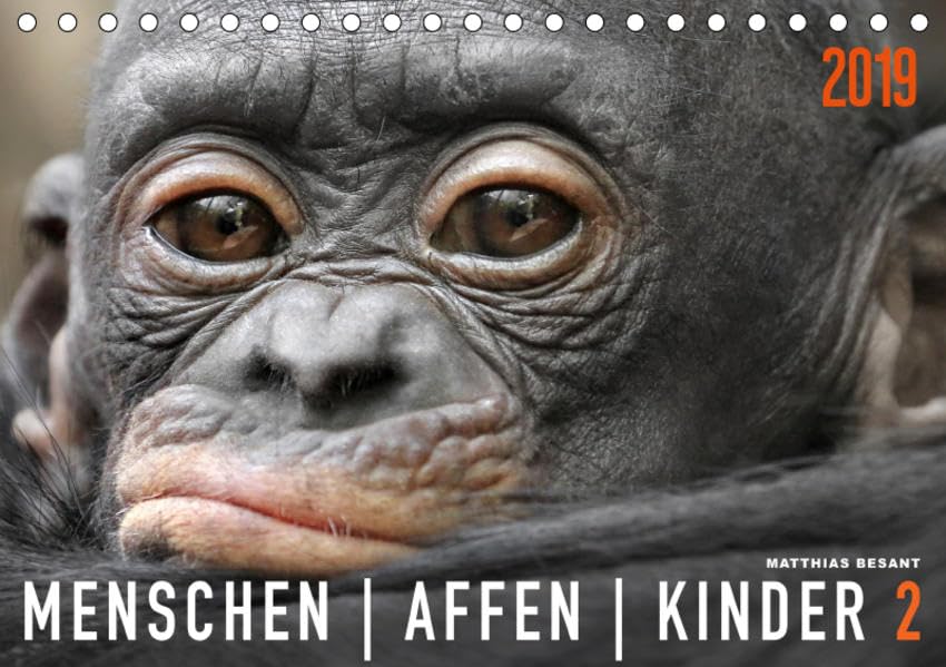 MENSCHENAFFENKINDER 2 (Tischkalender 2019 DIN A5 quer): Neue Porträts von Primatenkindern (Monatskalender, 14 Seiten ) (CALVENDO Tiere) Leisure, Home & Garden