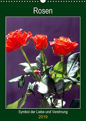 Rosen - Symbol der Liebe und Verehrung (Wandkalender 2019 DIN A3 hoch): Rosenkalender - das besondere Geschenk (Planer, 14 Seiten ) (CALVENDO Kunst) Leisure, Home & Garden