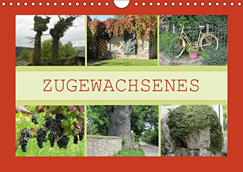 Zugewachsenes (Wandkalender 2019 DIN A4 quer): ZUGEWACHSENES - wenn die Natur die Herrschaft übernimmt ... (Monatskalender, 14 Seiten ) (CALVENDO Natur) Leisure, Home & Garden