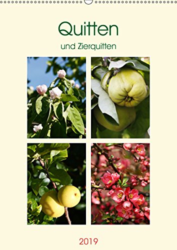 Quitten und Zierquitten (Wandkalender 2019 DIN A2 hoch): Porträts der birnenförmigen Baumquitte und der apfelförmigen Zierquitte (Monatskalender, 14 Seiten ) (CALVENDO Natur) Leisure, Home & Garden