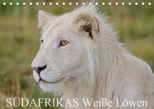 SÜDAFRIKAS Weiße Löwen (Tischkalender 2019 DIN A5 quer): Die Fotografin Barbara Fraatz (www.thula-photography.com ) hat für Sie Ihre schönsten ... gestellt. (Geburtstagskalender, 14 Seiten ) Natural Sciences