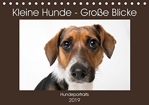 Kleine Hunde - Große Blicke (Tischkalender 2019 DIN A5 quer): Diese Hunde werden Sie mit ihren Blicken verzaubern! (Monatskalender, 14 Seiten ) (CALVENDO Tiere) Natural Sciences