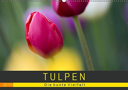 Tulpen - die bunte Vielfalt (Wandkalender 2019 DIN A2 quer): Tulpen bringen Farbe in unser Leben - und das nicht zu knapp. Dieser Kalender zeigt 14 ... (Monatskalender, 14 Seiten ) (CALVENDO Natur) Leisure, Home & Garden