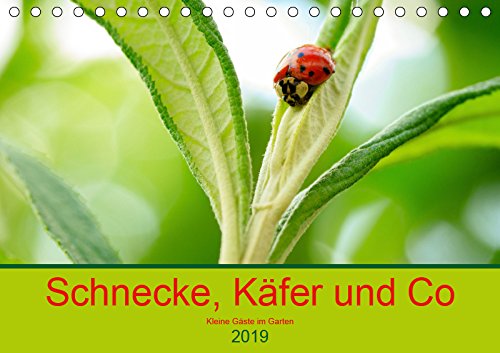 Schnecke, Käfer und Co (Tischkalender 2019 DIN A5 quer): Kleine Gäste im Garten (Monatskalender, 14 Seiten ) (CALVENDO Natur) Living & Furnishing