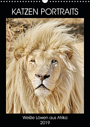 KATZEN PORTRAITS Weiße Löwen aus Afrika (Wandkalender 2019 DIN A3 hoch) Books