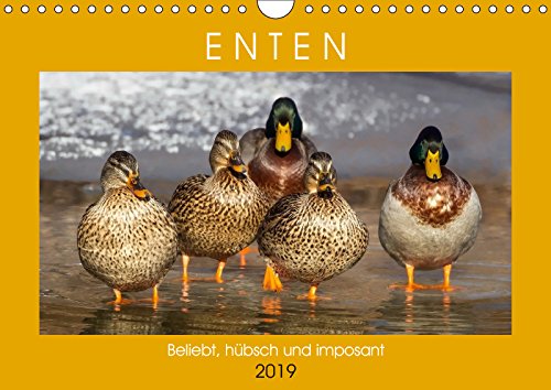 Enten. Beliebt, hübsch und imposant (Wandkalender 2019 DIN A4 quer): Die lustigen Watschler am Teich und See (Monatskalender, 14 Seiten ) (CALVENDO Tiere) Living & Furnishing