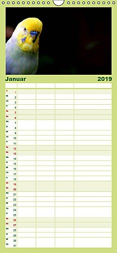 Wellensittiche - Naturkalender - Familienplaner hoch (Wandkalender 2019 21 cm x 45 cm hoch): Auch dieser Kalender des renommierten Naturfotografen ... der wohl schönste (Monatskalender, 14 Leisure, Home & Garden