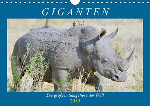 Giganten. Die größten Säugetiere der Welt (Wandkalender 2019 DIN A4 quer): Die beeindruckenden Riesen aus dem Reich der Tiere (Geburtstagskalender, 14 Seiten ) (CALVENDO Tiere) Living & Furnishing