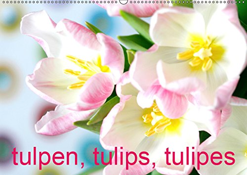 Tulpen, Tulips, Tulipes (Wandkalender 2019 DIN A2 quer): Tulpenvielfalt in leuchtenden Farben (Monatskalender, 14 Seiten ) (CALVENDO Natur) Leisure, Home & Garden