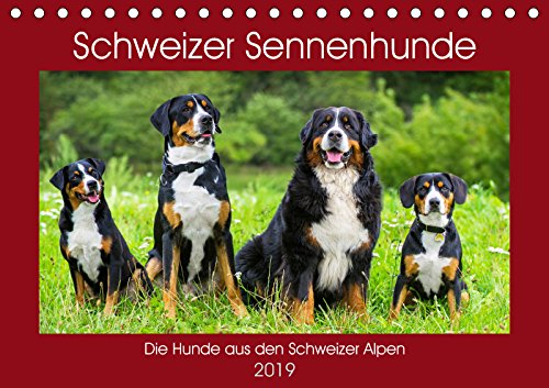 Schweizer Sennenhunde - die Hunde aus den Schweizer Alpen (Tischkalender 2019 DIN A5 quer): Schweizer Sennenhunde in 13 faszinierenden Bildern (Monatskalender, 14 Seiten ) (CALVENDO Tiere) Natural Sciences