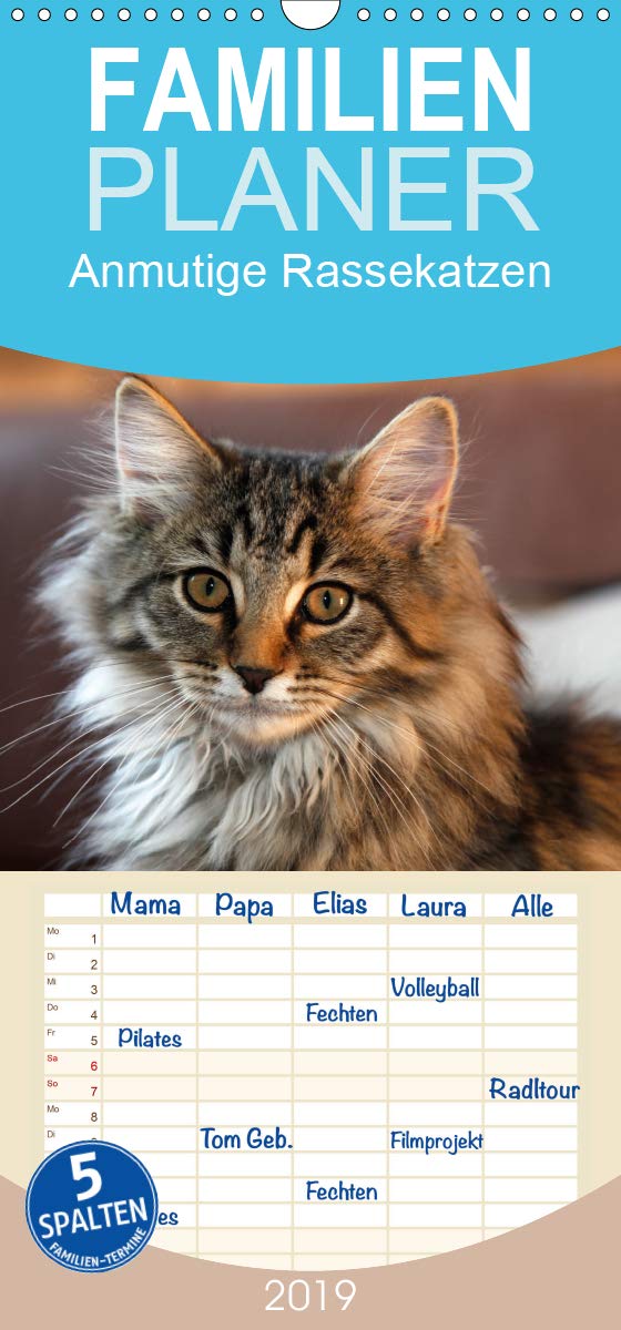 anmutige Rassekatzen - Familienplaner hoch (Wandkalender 2019 , 21 cm x 45 cm, hoch): Wunderschöne und geheimnisvolle Rassekatzen (Monatskalender, 14 Seiten ) (CALVENDO Tiere) Pets