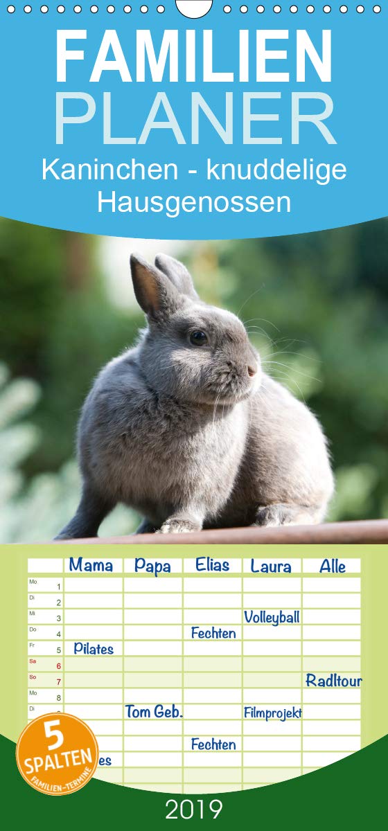 Kaninchen - knuddelige Hausgenossen - Familienplaner hoch (Wandkalender 2019 , 21 cm x 45 cm, hoch): Zwergkaninchen bezaubernd anzusehen (Monatskalender, 14 Seiten ) (CALVENDO Tiere) Pets