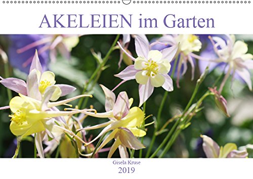 Akeleien im Garten (Wandkalender 2019 DIN A2 quer): Akeleien - filigran, dynamisch, Tänzer im Wind (Monatskalender, 14 Seiten ) (CALVENDO Natur) Leisure, Home & Garden