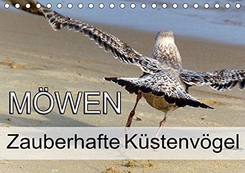 Möwen - Zauberhafte Küstenvögel (Tischkalender 2019 DIN A5 quer): Faszinierende Möwen an der Ostsee (Monatskalender, 14 Seiten ) (CALVENDO Tiere) Leisure, Home & Garden