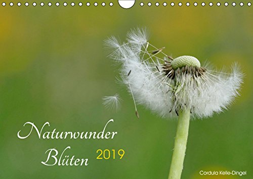 Naturwunder Blüten (Wandkalender 2019 DIN A4 quer): Die wunderbare Welt der Blüten in faszinierenden Fotos (Monatskalender, 14 Seiten ) (CALVENDO Natur) Photography
