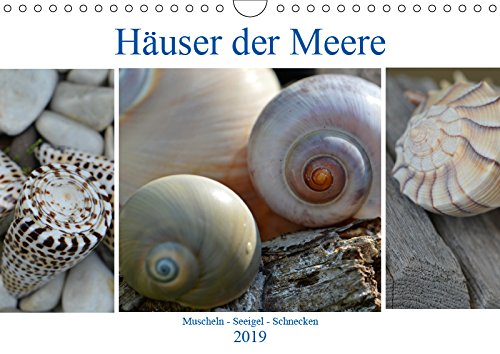 Häuser der Meere: Muscheln - Seeigel - Schnecken (Wandkalender 2019 DIN A4 quer): Sammelobjekte aus Sand und Meer (Monatskalender, 14 Seiten ) (CALVENDO Tiere) Film, Art & Culture
