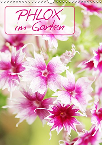Phlox im Garten (Wandkalender 2019 DIN A3 hoch): Ein strahlender Kalender voller Phloxblüten (Planer, 14 Seiten ) (CALVENDO Natur) Leisure, Home & Garden