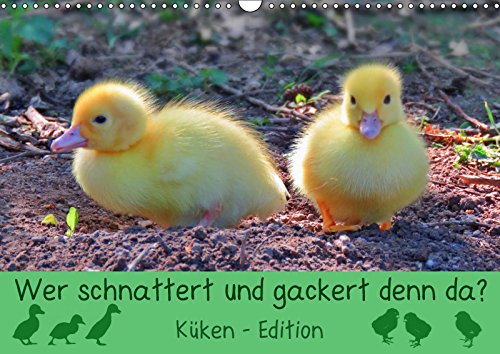 Wer schnattert und gackert denn da? - Küken-Edition (Wandkalender 2019 DIN A3 quer): Süße, flauschige Küken zum Verlieben (Monatskalender, 14 Seiten ) (CALVENDO Tiere) Living & Furnishing