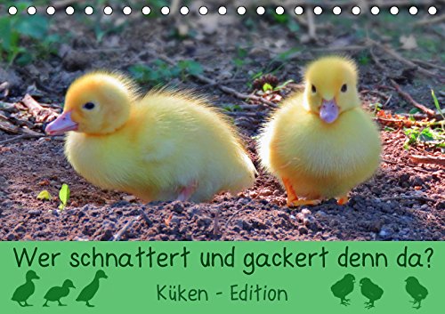 Wer schnattert und gackert denn da? - Küken-Edition (Tischkalender 2019 DIN A5 quer): Süße, flauschige Küken zum Verlieben (Monatskalender, 14 Seiten ) (CALVENDO Tiere) Living & Furnishing